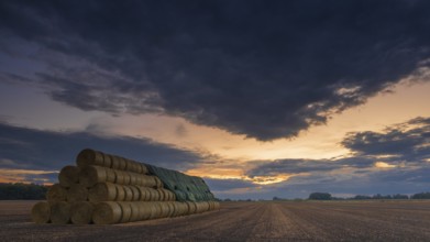 Photograph of a large stack of round bales on a harvested field in the evening light, Husum,