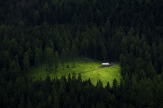 View from above of a hut standing in a clearing in the forest, San Candido, Val Pusteria, South