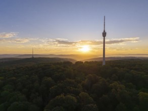 Hilly wooded landscape with television tower at sunrise in the background, Stuttgart-Degerloch,