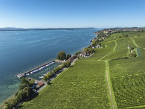 Aerial view, vineyard, vineyard slope at the historic Haltnau winery near Meersburg, on the left