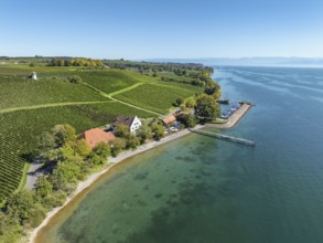 Aerial view of the marina and jetty at the historic Rebgut Haltnau with catering business, outdoor