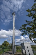 Transmission mast, on the right an apple tree (Malus) with fruits, Eckental, Middle Franconia,