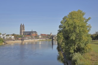 Elbe with lift bridge, Gothic Magdeburg Cathedral of St Mauritius and St Katharina, church,
