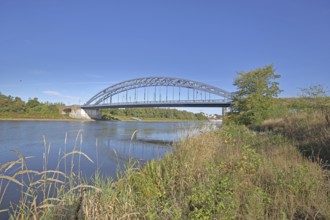 Star bridge over the Elbe, Elbe riverbank, arch bridge, steel construction, Rotehornpark, park,
