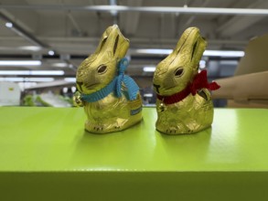 Two chocolate Easter bunnies in golden staniol paper, Germany