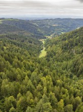 View of a wooded valley with green hills under a cloudy sky, Black Forest, Seebach, Germany