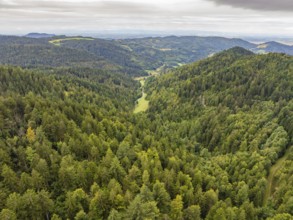 Dense green forests stretching over rolling hills and valleys, Black Forest, Seebach, Germany