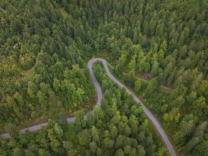 Wooded road with curves seen from a bird's eye view, Black Forest, Seebach, Germany