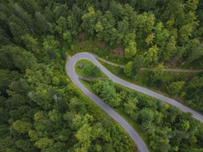 Winding road meanders through a detailed forest, Black Forest, Seebach, Germany