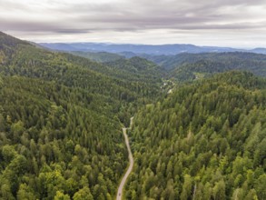 Aerial view of a winding road leading through densely forested mountains, Black Forest, Seebach,