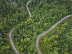 Winding road through lush green forests from above, Black Forest, Seebach, Germany