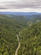 Paths in a green valley surrounded by dense forests under a cloudy sky, Black Forest, Seebach,