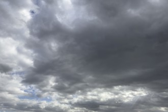 Extensive field of stratocumulus clouds, international
