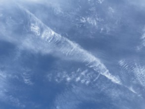 Cirrus Feather clouds Veil clouds Cirrus clouds, international