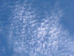 Large cloud field of cirrocumulus clouds high cumulus clouds, international