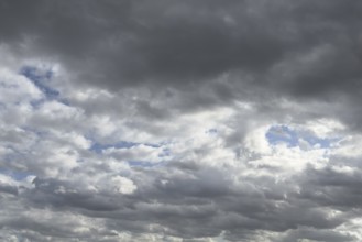 Large field of stratocumulus clouds, in the background altocumulus clouds under blue sky,