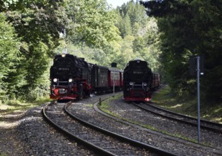 Steam locomotive, steam locomotives double exit on the Harz Narrow Gauge Railway, HSB, in the Harz