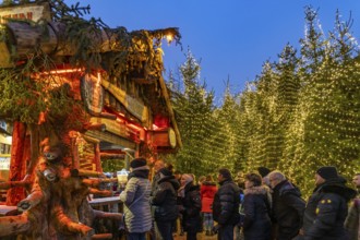 Christmas market and Christmas forest in the old town centre of Goslar at dusk, Lower Saxony,