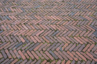 Clinker paving in herringbone pattern, Münsterland, North Rhine-Westphalia, Germany