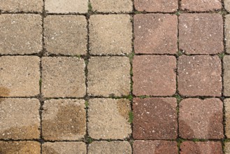 Pavement, background, texture, Münsterland, North Rhine-Westphalia