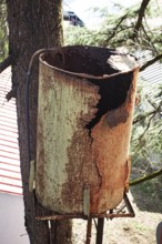 Rusty water tank on a tree stand showcasing decay and weathering in a rural setting