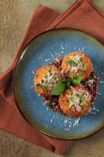 Crispy Arancini appetizer, with parmesan cheese and microgreens, plate, tomato sauce, homemade, no