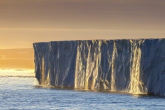 Waterfalls at edge of the Brasvellbreen glacier from ice cap Austfonna debouching into Barents Sea