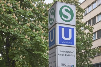 Public transport, central station, tree, horse chestnut (Aesculus hippocastanum), building, facade,