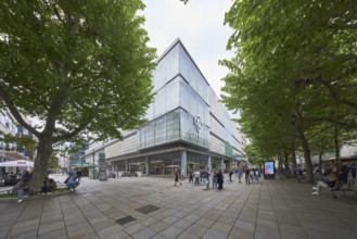Pedestrian zone, department stores', Karstadt Galeria Kaufhof, building, trees, pavement made of