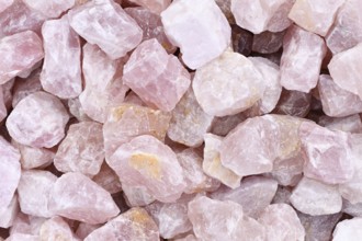 Close up of raw large rose quartz crystals. Natural pink gemstone chunks used for healing or