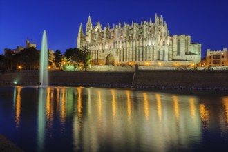 Night shot atmospheric photo in blue hour of Cathedral of Saint Mary of the Holy Mary Episcopal See
