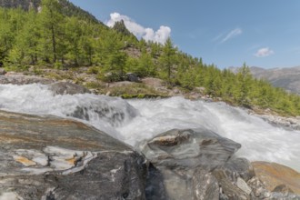 A rushing river cascades over smooth stones, surrounded by lush green trees and majestic mountains.