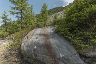A massive boulder stands prominently amongst the vibrant green trees in a tranquil mountainous