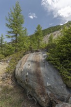 A massive boulder stands prominently amongst the vibrant green trees in a tranquil mountainous