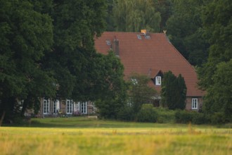 View across a meadow in the evening light to a farmhouse at the edge of the forest, Ahlden,