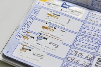 Germany - August 2025: Close up of dog vaccine passport with Eurican DAPPi Lmulti vaccination