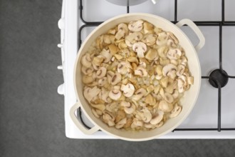 Roasting fresh mushrooms and onion in a large pan on the stove