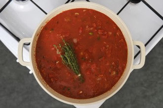 Close-up overhead view of a cast iron pot with tomato and bread soup on a gas stove