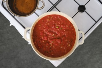 Overhead view of cooking tomato and bread soup on a stove