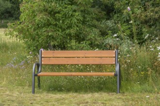 Bench, resting bench in a meadow with wild flowers and an elder bush, North Rhine-Westphalia,