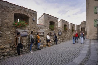 Tourists, visitors, Asians, taking pictures at the city wall, castle wall with paintings, Laufen