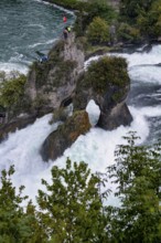 Tourists, visitors, on viewing platform, rock, middle rock, Rhine Falls Schaffhausen, waterfall,