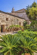 Lush green botanical garden a peaceful oasis at the Arab Baths in the old town in Palma a sunny