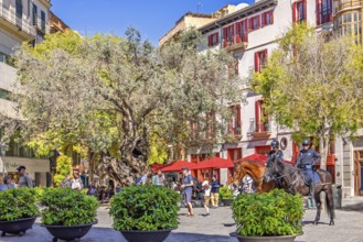 Cityscape view at a town square in Palma with lush green trees and plants as well as mounted police