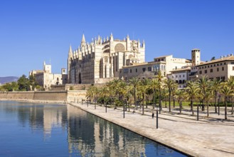 View at the famous Palma Cathedral with a water pond and palm trees in a park a sunny summer day,