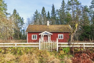 Red small wooden cottage with a fence and gate to the garden at the edge of the forest on a