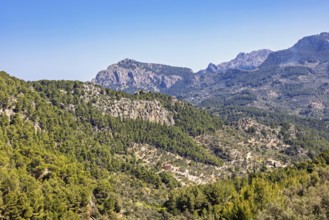 Scenics view at a mountainous valley landscape at the Serra de Tramuntana mountain range with green