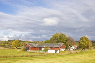 Farmhouse with a red barn in the countryside with fields and a grove of trees a beautiful sunny