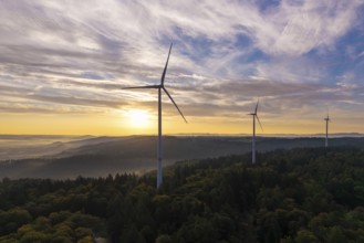 Wind turbines over a densely wooded area under a bright, clear morning sky, near Schorndorf,
