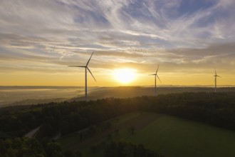 Wind turbines stretch across fields in the gentle sunlight that creates a peaceful horizon, near